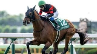 【金鯱賞予想】前走で大崩れしてないことが好走条件!? ビッグレースでの実績もある人気馬が該当した消しデータとは