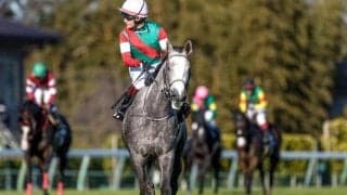 【愛知杯】カピリナ、スウィープフィートらが登録