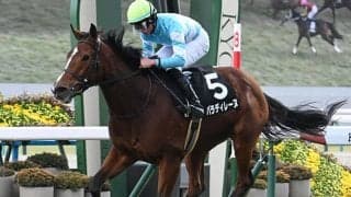 【フラワーC想定騎手】パラディレーヌは川田将雅騎手、ゴーソーファーは津村明秀騎手