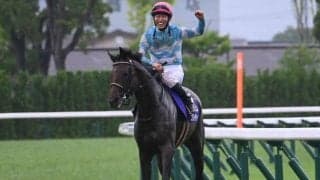 【阪神大賞典枠順確定】ブローザホーンは5枠5番、ショウナンラプンタは1枠1番