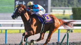 【日経賞登録馬】アーバンシックなど18頭