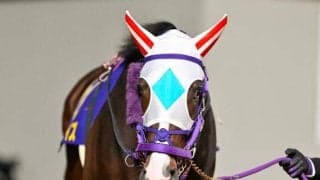 【大井・京浜盃枠順】巻き返し期すナチュラルライズは6枠10番、無傷4連勝中のナイトオブファイアは3枠3番