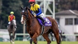 【高松宮記念予想】AIは前走復活V挙げた一頭を推奨 GI勝ちの実績を評価