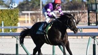 【毎日杯出走馬・騎手確定】リラエンブレム＆浜中俊騎手、キングノジョー＆坂井瑠星騎手など10頭