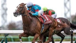 【日経賞出走馬・騎手確定】アーバンシック＆C.ルメール騎手、シュヴァリエローズ＆北村友一騎手など16頭