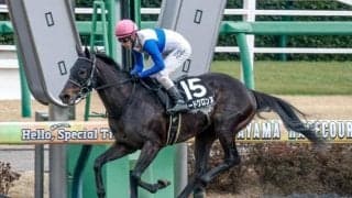 【マーチS出走馬・騎手確定】ロードクロンヌ＆藤岡佑介騎手、ハビレ＆三浦皇成騎手など15頭