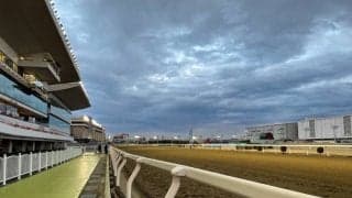 【川崎競馬】3年連続売得金1000億円突破