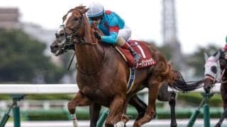 【日経賞予想】有馬記念と同舞台で争われる別定戦 上位人気が好調で実績を信頼