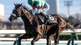 【大阪杯想定騎手】シックスペンスは横山武史騎手、ステレンボッシュはJ.モレイラ騎手