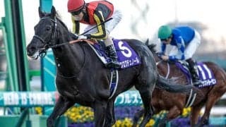 【皐月賞想定】クロワデュノール、ピコチャンブラックなど19頭