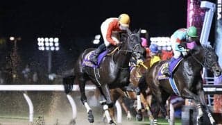 【兵庫女王盃】アーテルアストレアは1枠1番へ