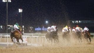 ドバイWCデーは総賞金47億円超えのビッグイベント 各レースの賞金をおさらい