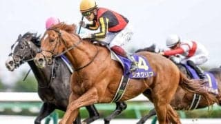 【豪・ドンカスターマイル結果】ジオグリフは18着 牝馬ステフィマグネティカがV
