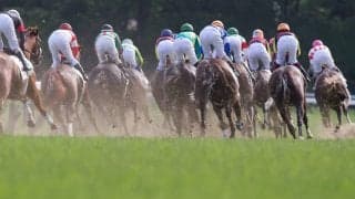 【大阪杯／馬場情報】土曜はやや高速傾向も……降雨の影響で浮上するバイアス