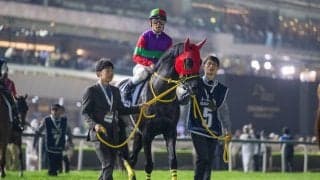 【ドバイゴールデンシャヒーン】戸崎「力は出せた」クロジシジョーが猛追4着