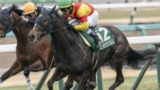 桜花賞で「母の父ガリレオ」のJRA・GI初制覇なるか フェアリーS圧勝の素質馬が挑む