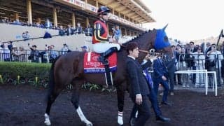 クイーンエリザベスステークス枠順…ローシャムパークは12番ゲート