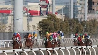 【川崎・川崎記念結果】8歳馬メイショウハリオが貫録V！JpnI4勝目を挙げる