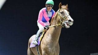 【川崎記念】浜中「頭が下がる思いです」メイショウハリオが復活V