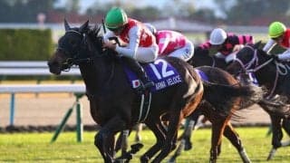 【桜花賞】アルマヴェローチェは500kg…出走馬の調教後の馬体重