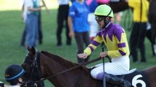 【東京スプリント】ガビーズシスターなどJRA馬は5頭