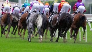 【桜花賞／馬場情報】土曜は高速馬場も日曜は雨模様　道悪で浮上する“特注”の血統は…