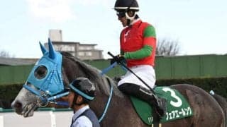 【福島牝馬S】フェアエールング、アリスヴェリテらが登録