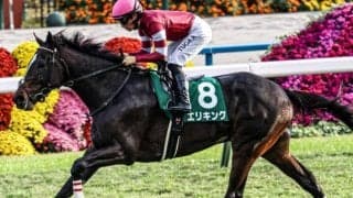 川田将雅騎手が皐月賞2勝目なるか 無敗の京都2歳S覇者と参戦