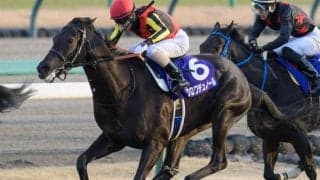 北村友一騎手がクラシック初制覇へ 2歳王者と皐月賞に挑む