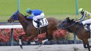 【中山6R】転厩初戦のナルカミが快勝で2勝目…新馬戦では大差圧勝