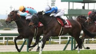 【阪神牝馬S】大激戦のゴール前！伏兵がサフィラ重賞初制覇