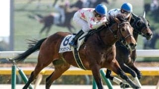 【青葉賞】マテンロウバローズ、エネルジコらが登録