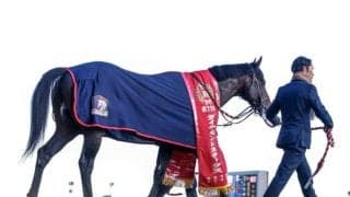 【天皇賞(春)】ヘデントール、ジャスティンパレスらが登録