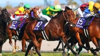 香港チャンピオンズデー出走予定馬日本馬が現地到着…サトノレーヴなど
