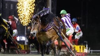 【ばんえい十勝】ベストホースにメムロボブサップを選出…ばんえいアワード2025