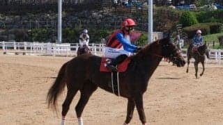 【韓国・YTN杯】高知のユメノホノオが3着に健闘 吉原騎手「この馬の強さを感じた」