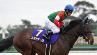 半兄は皐月賞覇者の良血馬 待望のデビュー戦で勝利掴めるか 
