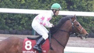 【青葉賞枠順確定】マテンロウバローズは1枠1番、エネルジコは7枠10番