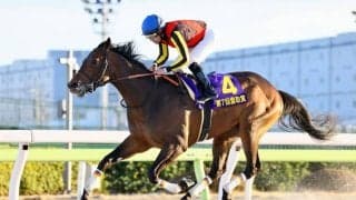 【羽田盃】ジャナドリアなどJRA馬は4頭…ダートクラシック初戦の出走予定馬
