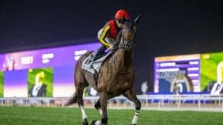 【クイーンエリザベス2世カップ】リバティアイランドは11番ゲート…日本馬3頭が出走