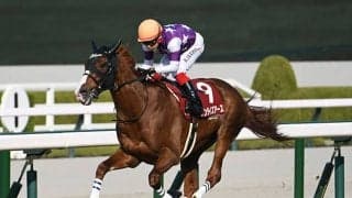 春の長距離王者決定戦・天皇賞(春)など3重賞/今週の競馬界の見どころ