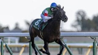 【天皇賞・春登録馬】ヘデントールなど15頭