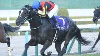 【ヴィクトリアM想定】アスコリピチェーノやクイーンズウォークなど22頭