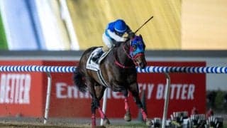 【ケンタッキーダービー】アドマイヤデイトナ＆ルクソールカフェが現地で最終調整…両馬とも順調な仕上がり