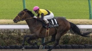 【ケンタッキーダービー】ルクソールカフェは7番ゲートから