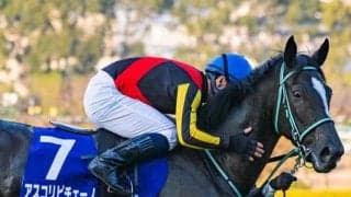【ヴィクトリアM】アスコリピチェーノ、ステレンボッシュらが登録