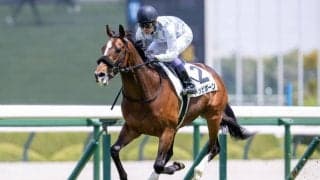 【京都新聞杯登録馬】トッピボーンなど13頭