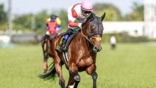 【エプソムC想定騎手】ダノンエアズロックはD.レーン騎手、シュトラウスは北村宏司騎手