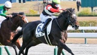 【京都新聞杯想定騎手】エムズは松山弘平騎手、キングスコールは坂井瑠星騎手