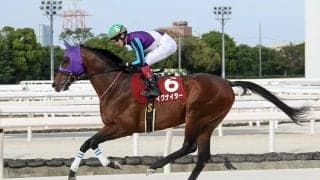 【兵庫大賞典】イグナイターが地元凱旋V 約1年半ぶりの勝利で貫禄示す